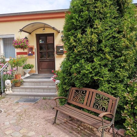 Gästezimmer- und Ferienzimmer Am Gewölbekeller Meißen Exterior foto